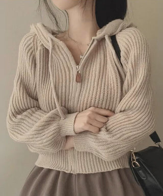 retro zipper hooded cardigan