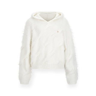 [NAWS] Wool hooded sweater