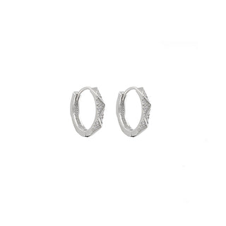 Full diamond earrings